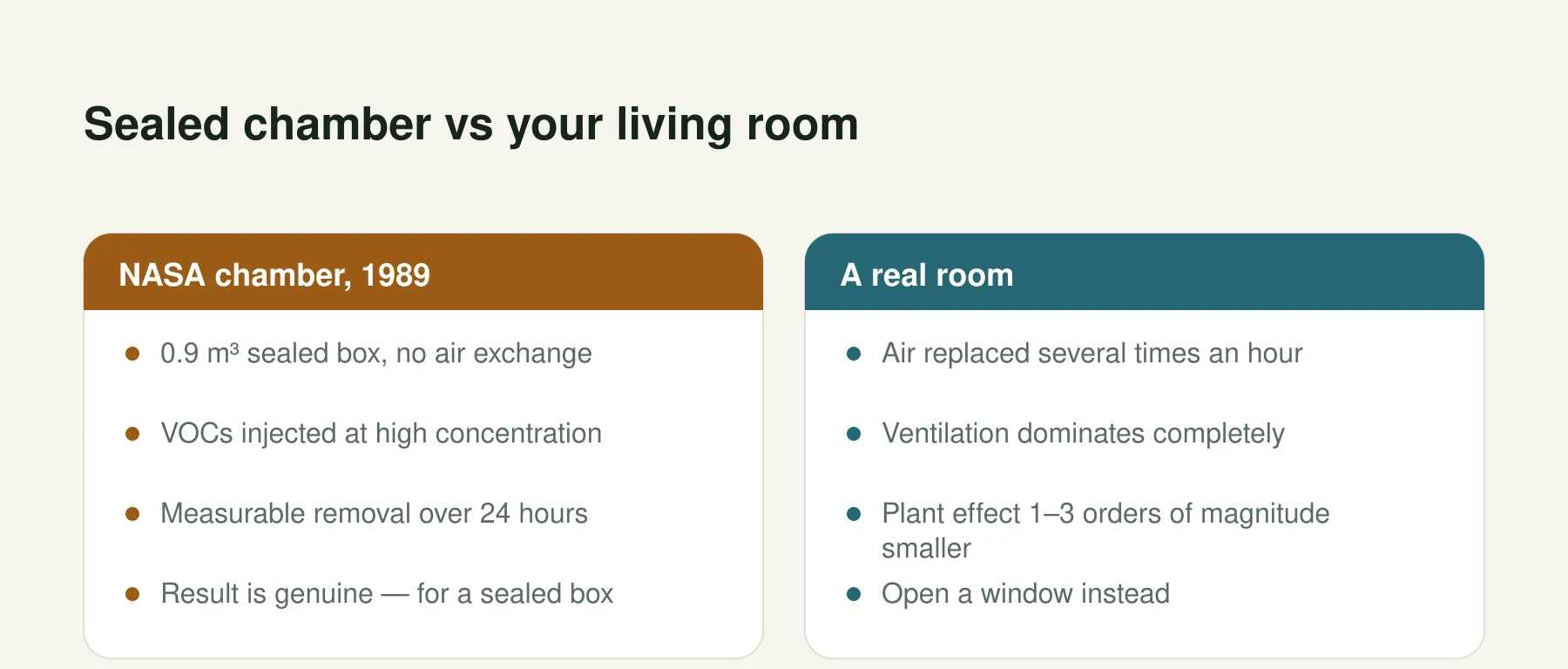 Infographic: Sealed chamber vs your living room. NASA chamber, 1989: 0.9 m³ sealed box, no air exchange, VOCs injected at high concentration, Measurable removal over 24 hours, Result is genuine — for a sealed box. A real room: Air replaced several times an hour, Ventilation dominates completely, Plant effect 1–3 orders of magnitude smaller, Open a window instead.
