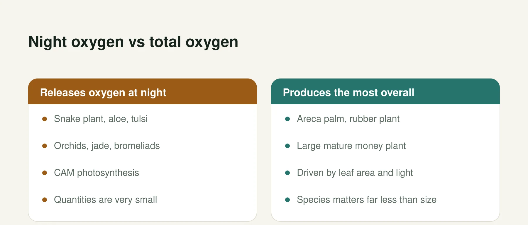Infographic: Night oxygen vs total oxygen. Releases oxygen at night: Snake plant, aloe, tulsi, Orchids, jade, bromeliads, CAM photosynthesis, Quantities are very small. Produces the most overall: Areca palm, rubber plant, Large mature money plant, Driven by leaf area and light, Species matters far less than size.