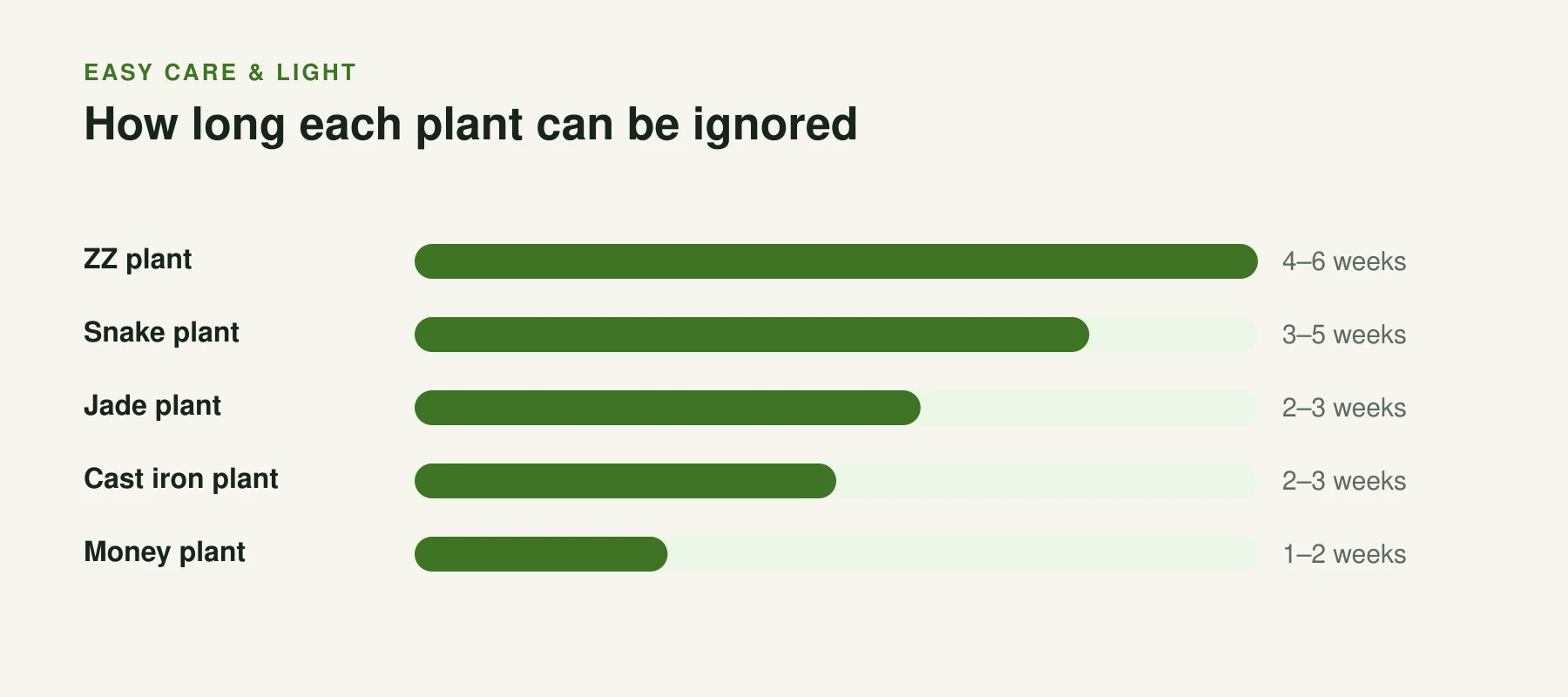 Infographic: How long each plant can be ignored. ZZ plant, 4–6 weeks. Snake plant, 3–5 weeks. Jade plant, 2–3 weeks. Cast iron plant, 2–3 weeks. Money plant, 1–2 weeks.