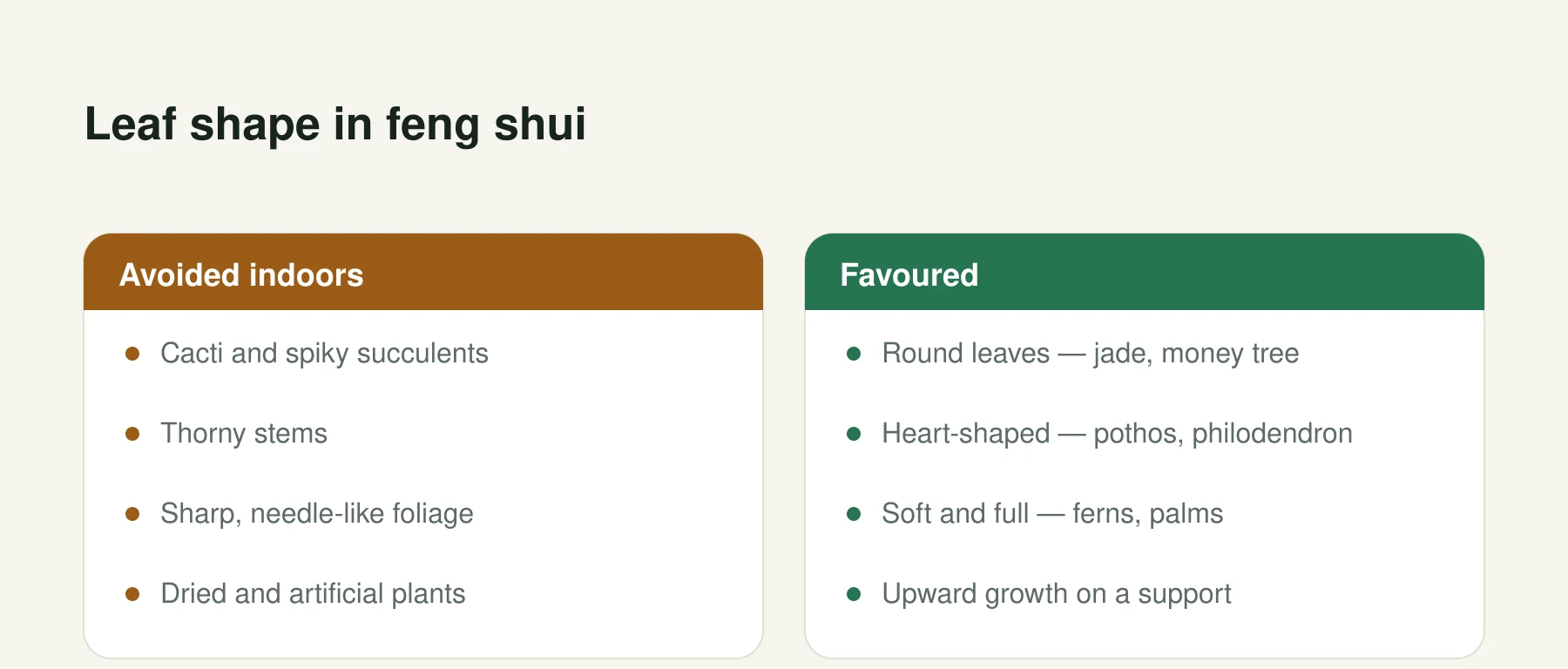 Infographic: Leaf shape in feng shui. Avoided indoors: Cacti and spiky succulents, Thorny stems, Sharp, needle-like foliage, Dried and artificial plants. Favoured: Round leaves — jade, money tree, Heart-shaped — pothos, philodendron, Soft and full — ferns, palms, Upward growth on a support.