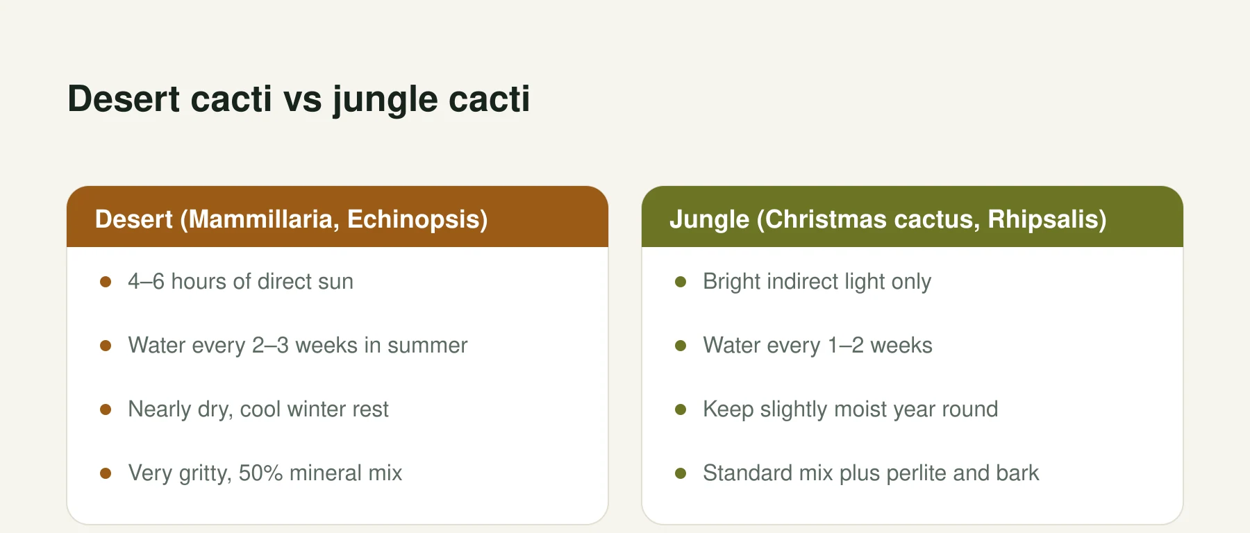 Infographic: Desert cacti vs jungle cacti. Desert (Mammillaria, Echinopsis): 4–6 hours of direct sun, Water every 2–3 weeks in summer, Nearly dry, cool winter rest, Very gritty, 50% mineral mix. Jungle (Christmas cactus, Rhipsalis): Bright indirect light only, Water every 1–2 weeks, Keep slightly moist year round, Standard mix plus perlite and bark.