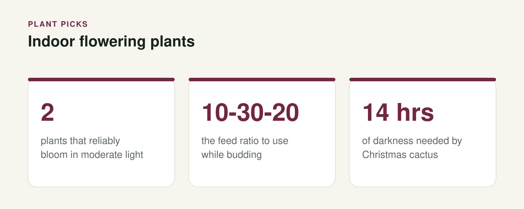 Infographic: Indoor flowering plants. 2 — plants that reliably bloom in moderate light. 10-30-20 — the feed ratio to use while budding. 14 hrs — of darkness needed by Christmas cactus.