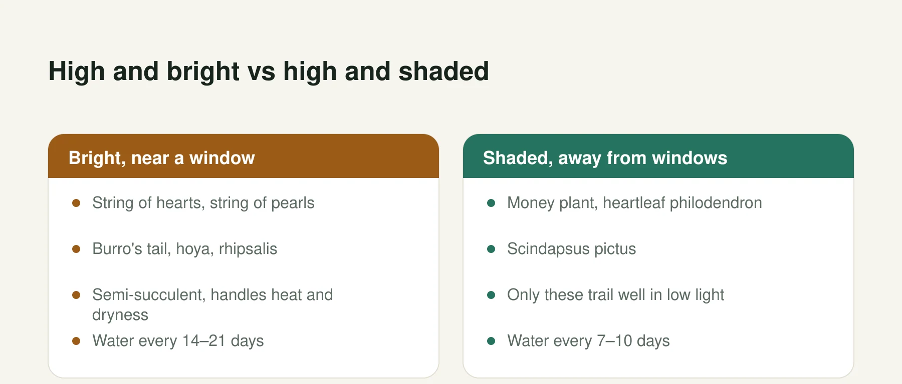Infographic: High and bright vs high and shaded. Bright, near a window: String of hearts, string of pearls, Burro's tail, hoya, rhipsalis, Semi-succulent, handles heat and dryness, Water every 14–21 days. Shaded, away from windows: Money plant, heartleaf philodendron, Scindapsus pictus, Only these trail well in low light, Water every 7–10 days.