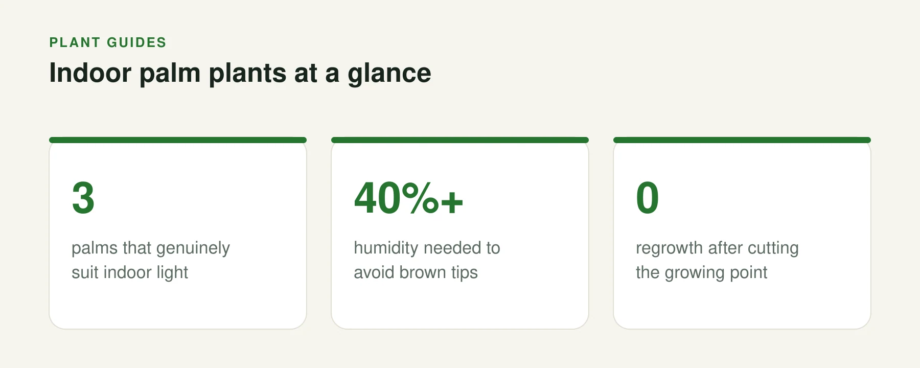 Infographic: Indoor palm plants at a glance. 3 — palms that genuinely suit indoor light. 40%+ — humidity needed to avoid brown tips. 0 — regrowth after cutting the growing point.