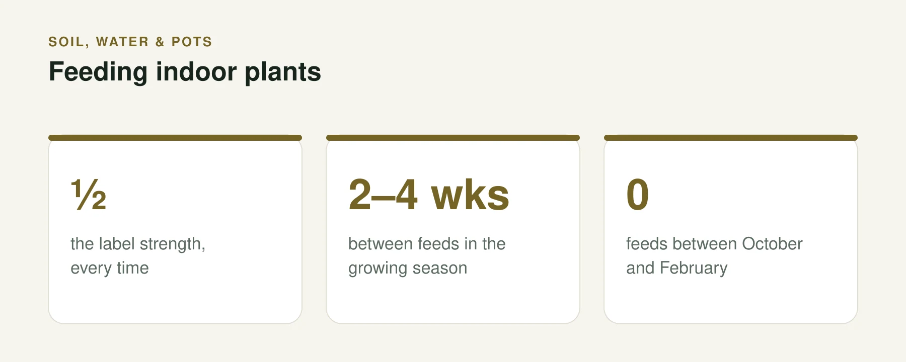 Infographic: Feeding indoor plants. ½ — the label strength, every time. 2–4 wks — between feeds in the growing season. 0 — feeds between October and February.