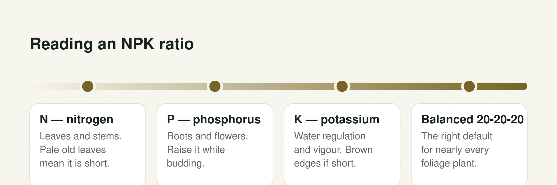 Infographic: Reading an NPK ratio. N — nitrogen: Leaves and stems. Pale old leaves mean it is short. P — phosphorus: Roots and flowers. Raise it while budding. K — potassium: Water regulation and vigour. Brown edges if short. Balanced 20-20-20: The right default for nearly every foliage plant.