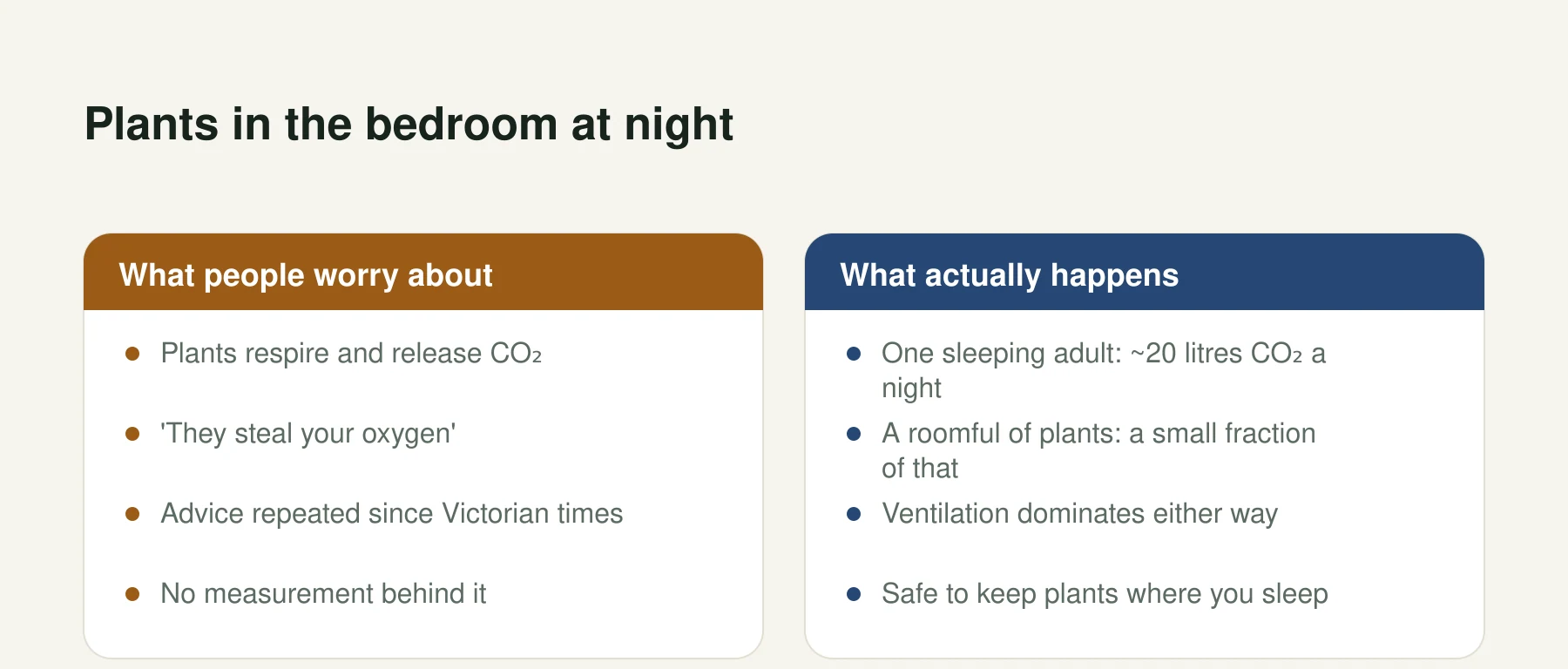 Infographic: Plants in the bedroom at night. What people worry about: Plants respire and release CO₂, 'They steal your oxygen', Advice repeated since Victorian times, No measurement behind it. What actually happens: One sleeping adult: ~20 litres CO₂ a night, A roomful of plants: a small fraction of that, Ventilation dominates either way, Safe to keep plants where you sleep.