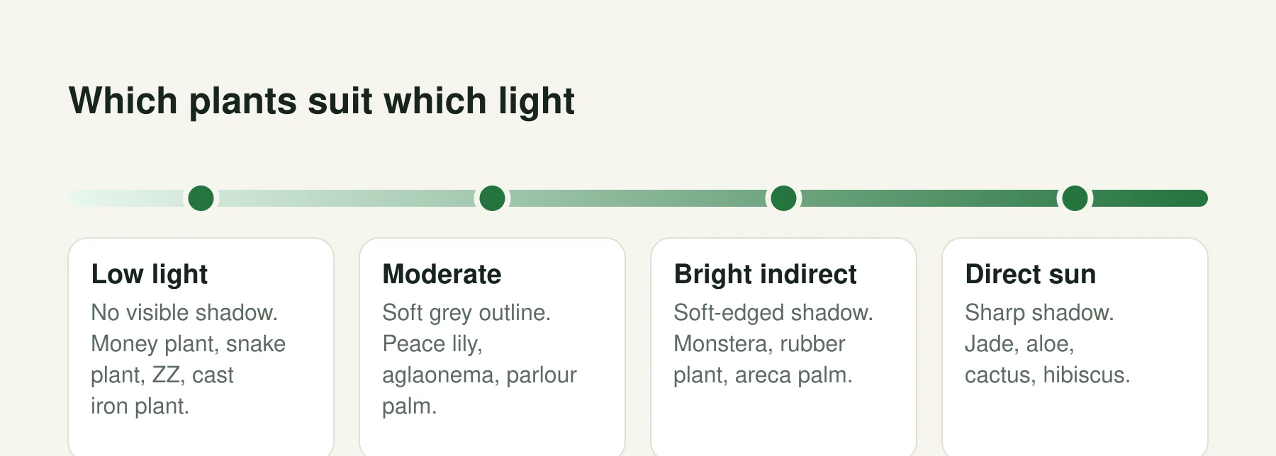 Infographic: Which plants suit which light. Low light: No visible shadow. Money plant, snake plant, ZZ, cast iron plant. Moderate: Soft grey outline. Peace lily, aglaonema, parlour palm. Bright indirect: Soft-edged shadow. Monstera, rubber plant, areca palm. Direct sun: Sharp shadow. Jade, aloe, cactus, hibiscus.