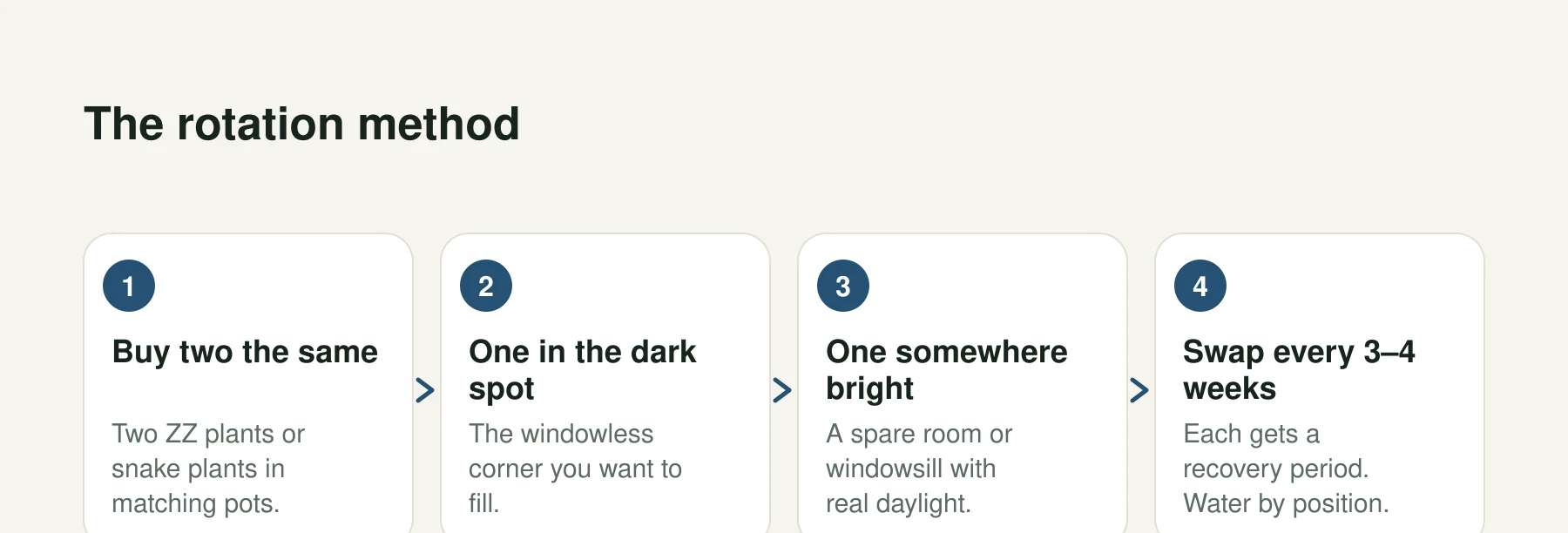 Infographic: The rotation method. Step 1, Buy two the same: Two ZZ plants or snake plants in matching pots. Step 2, One in the dark spot: The windowless corner you want to fill. Step 3, One somewhere bright: A spare room or windowsill with real daylight. Step 4, Swap every 3–4 weeks: Each gets a recovery period. Water by position.