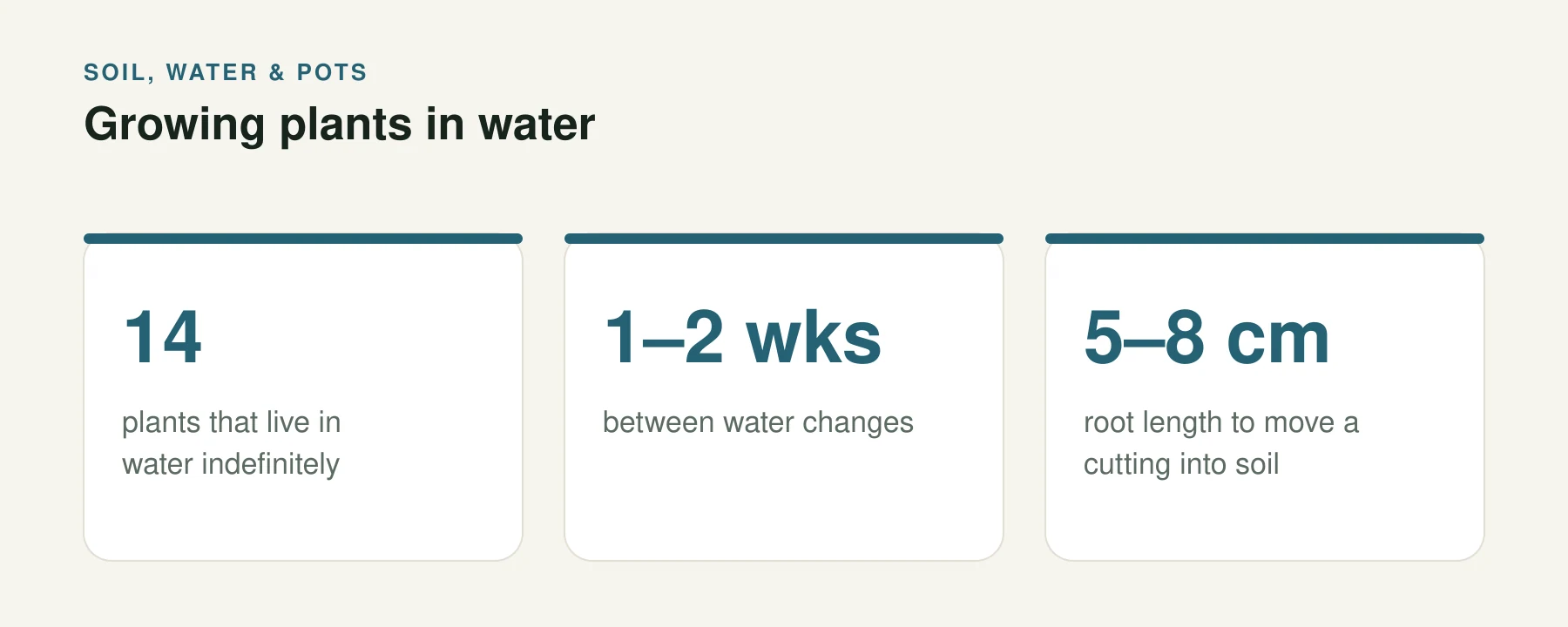 Infographic: Growing plants in water. 14 — plants that live in water indefinitely. 1–2 wks — between water changes. 5–8 cm — root length to move a cutting into soil.