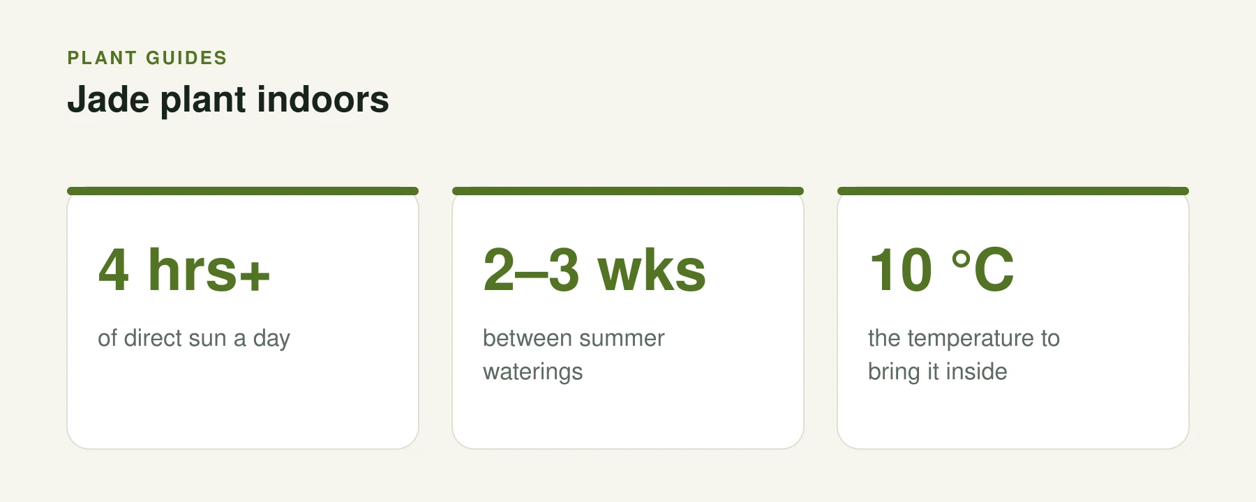 Infographic: Jade plant indoors. 4 hrs+ — of direct sun a day. 2–3 wks — between summer waterings. 10 °C — the temperature to bring it inside.