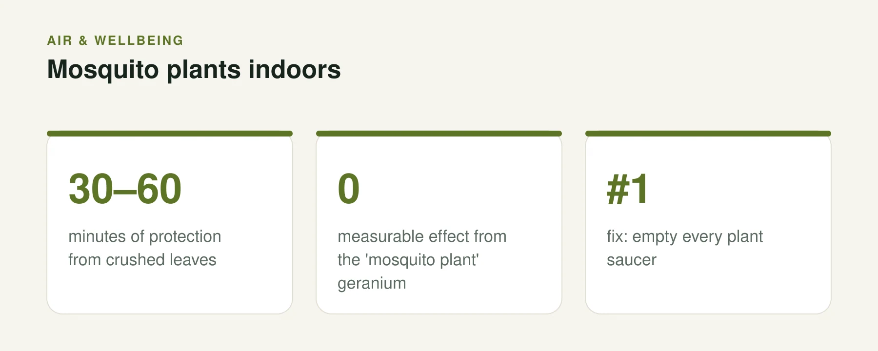 Infographic: Mosquito plants indoors. 30–60 — minutes of protection from crushed leaves. 0 — measurable effect from the 'mosquito plant' geranium. #1 — fix: empty every plant saucer.