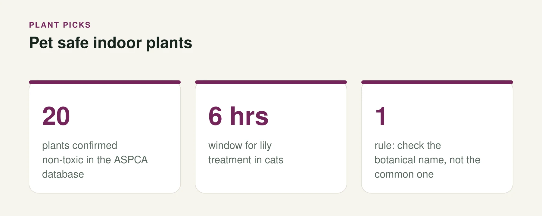 Infographic: Pet safe indoor plants. 20 — plants confirmed non-toxic in the ASPCA database. 6 hrs — window for lily treatment in cats. 1 — rule: check the botanical name, not the common one.