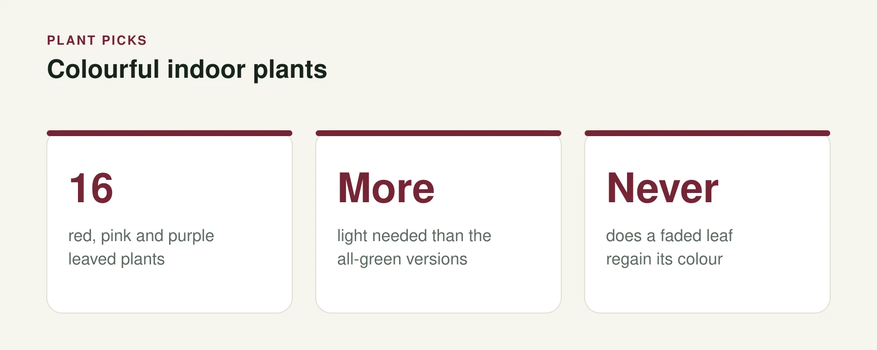 Infographic: Colourful indoor plants. 16 — red, pink and purple leaved plants. More — light needed than the all-green versions. Never — does a faded leaf regain its colour.