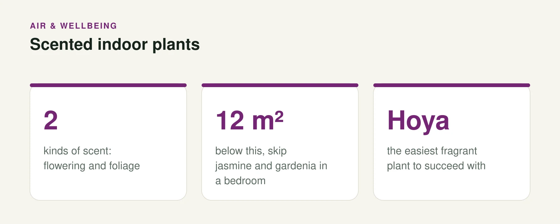 Infographic: Scented indoor plants. 2 — kinds of scent: flowering and foliage. 12 m² — below this, skip jasmine and gardenia in a bedroom. Hoya — the easiest fragrant plant to succeed with.