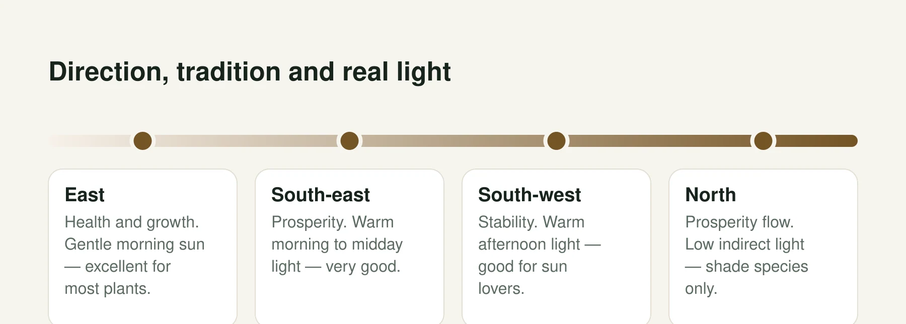 Infographic: Direction, tradition and real light. East: Health and growth. Gentle morning sun — excellent for most plants. South-east: Prosperity. Warm morning to midday light — very good. South-west: Stability. Warm afternoon light — good for sun lovers. North: Prosperity flow. Low indirect light — shade species only.